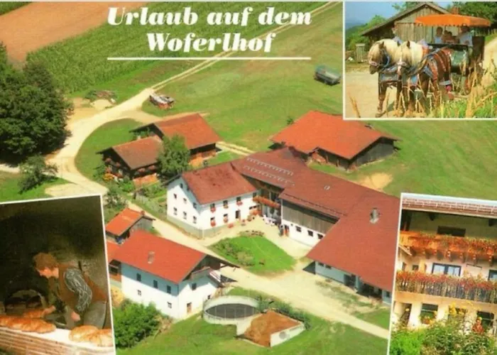 Woferlhof, Boxhorn * Böbrach