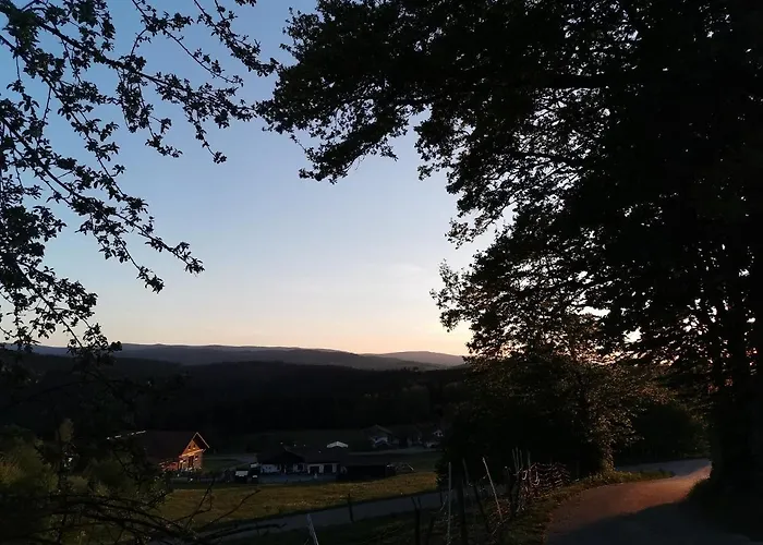 Woferlhof, Boxhorn
